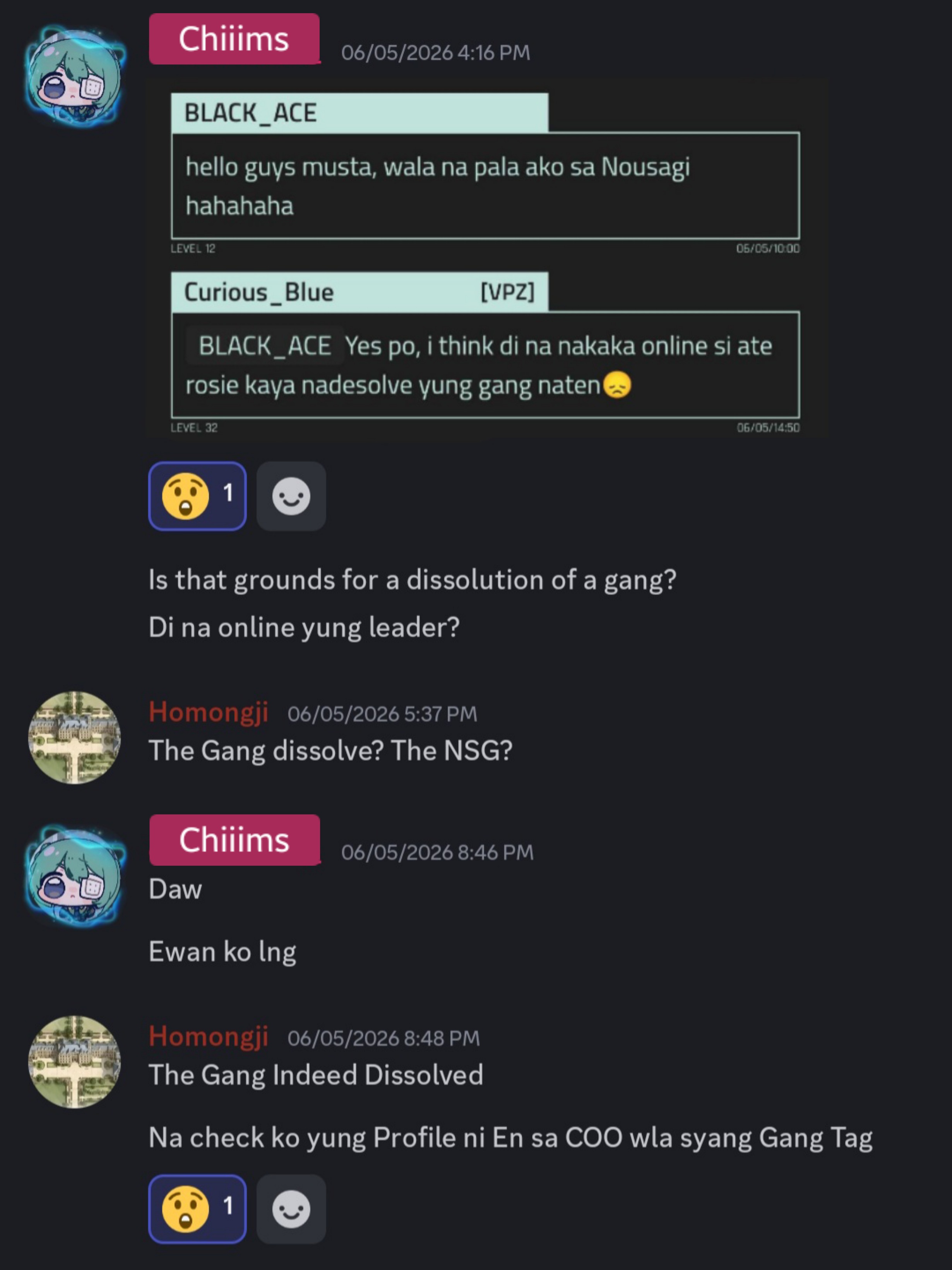 Screenshot from CCO PH Discord server of Chiiims